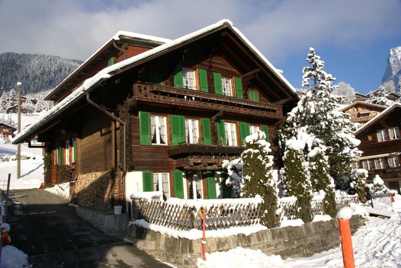Fluehbluemli Apartment Grindelwald Exterior photo